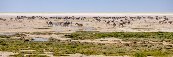 Obraz premium African wildlife gathering at a waterhole in Etosha National Park, Namibia. Elephants, zebras, giraffes and antelopes in their natural habitat under the African sky. 