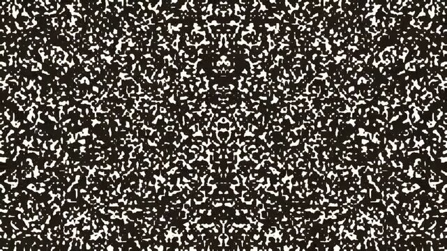 Abstract black and white noise texture with symmetrical pattern