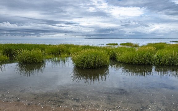 Coastal Marshland With Cloudy Sky Scenic Landscape Photography