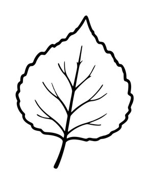Hand-drawn black outline vector icon illustration of a single aspen leaf with delicately traced serrated edges, central midrib, and fine branching veins, isolated on a white background, botanical
