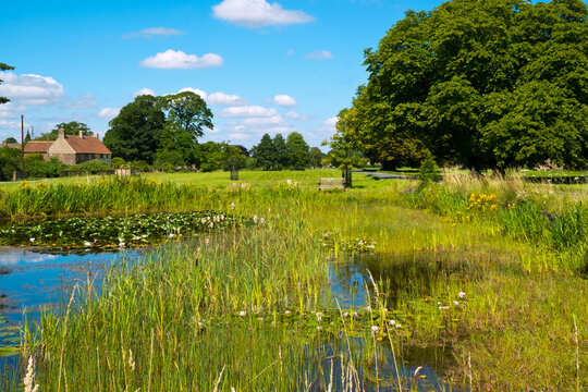 Summer sunshine on the picturesque village green and ponds at Frampton on Severn, Gloucestershire, UK.