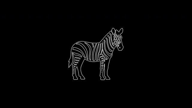 Animated white line drawing of a standing zebra