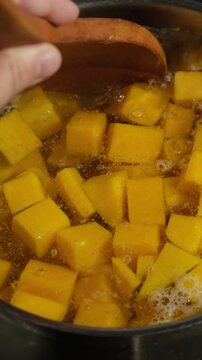 Vertical video. Woman making pumpkin puree soup by stirring chopped pumpkin pieces in a pot of boiling water
