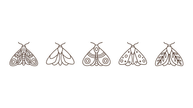 Minimalist moth line art collection, set of 5 butterfly vector icons, celestial bohemian insect illustrations for branding and tattoo design