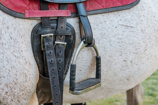 Steel stirrup iron and worn leather girth straps on dappled grey horse flank. Equestrian concept.