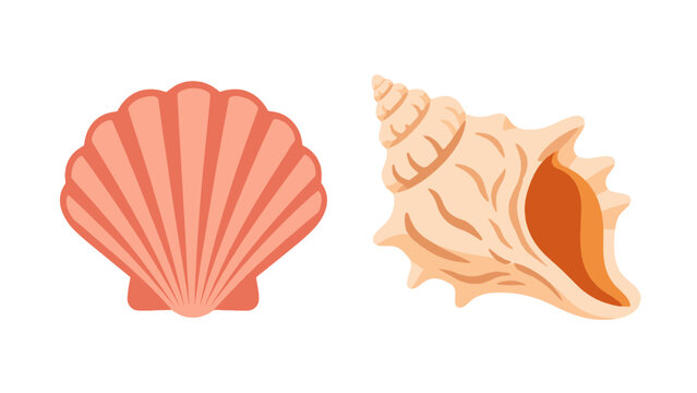 Scallop and conch shell vector set on white background