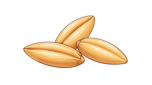 Three oat grains isolated in detailed cartoon vector style