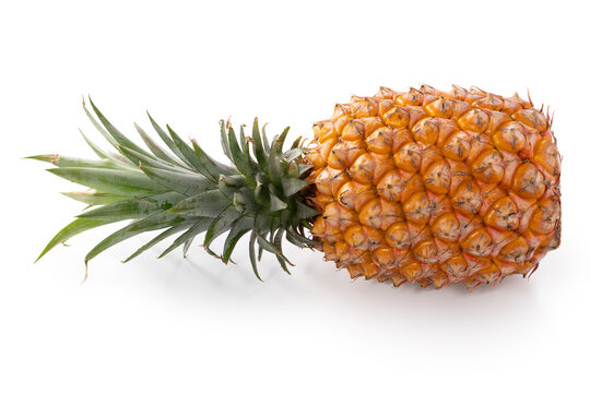 Fresh cut pineapple fruit isolated on white background with clipping path.
