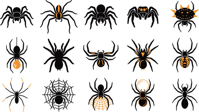 Spider vector icons set, 15 black and orange arachnid illustrations, tarantula and black widow silhouettes for Halloween and nature design