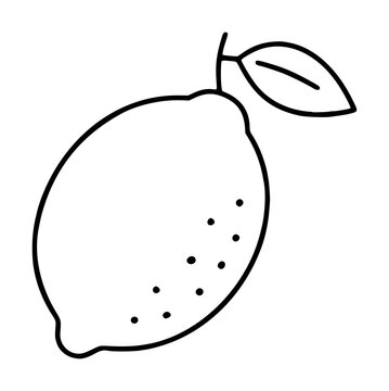 Hand-drawn lemon vector icon illustration with leaf and dotted texture, simple black outline sketch of citrus fruit for kitchen, recipe, and menu design projects