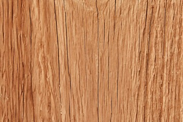 Obraz premium Close Up Wood Texture Showing Rich Grain and Color.