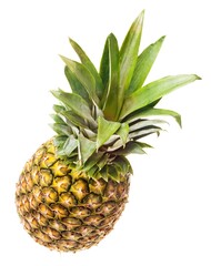 Fototapeta premium Fresh Pineapple on White Background Ready to Eat.