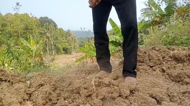 Close up of traditional Asian farmer digging soil with a hoe in the field
