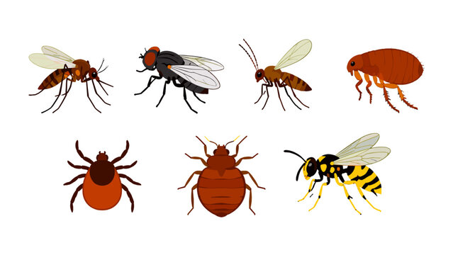 Set of common biting and pest insects with tick and bed bug