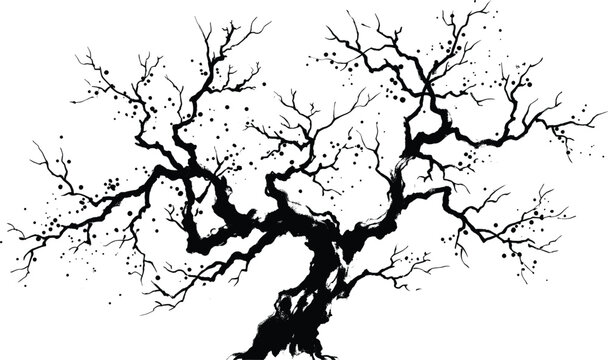 Vintage ink wash tree silhouette, hand drawn gnarled oak branches, black and white botanical vector art for rustic landscape design