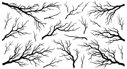 Bare tree branches silhouette collection, black dry wood twigs set, spooky winter forest elements for graphic design and spooky decor