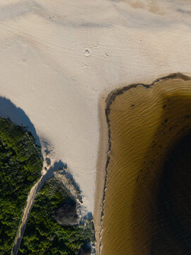 Aerial view of the sandy beach meeting the dark lagoon waters with lush green vegetation along the coastline in Dee Why, New South Wales, Australia.