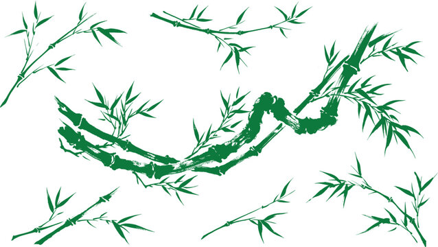 Green bamboo branches and leaves collection, oriental zen botanical vector set, traditional asian plant illustrations for spa and wellness design