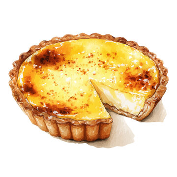Watercolor drawing of Custard Tart, on clean white background