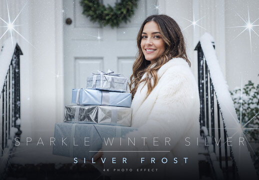 Silver Sparkle Winter Photo Effect Template - Icy Star Sparkles and Glitter Dust Overlay with Cool Frost Christmas Grade