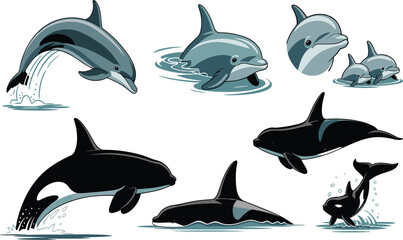 Cute Cartoon Dolphin and Orca Killer Whale Character Set with Jumping Swimming and Splash Poses for Marine Life and Sea Wildlife Graphic Designs © MstAfia
