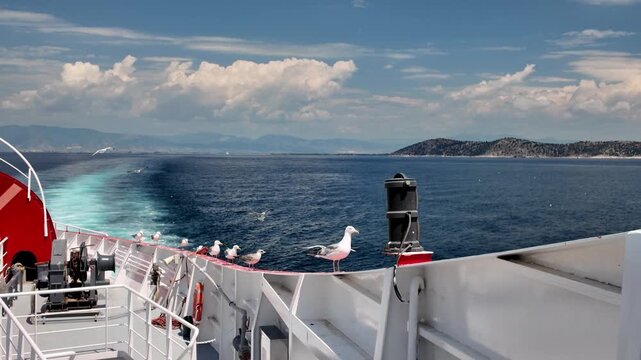 Panoramic view from the ferry deck of the calm sea, mountainous coastline and seagulls perching on the side of the ship.