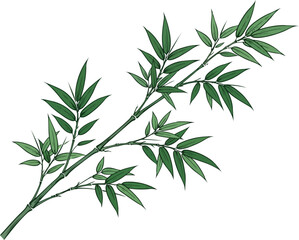 Obraz premium Hand drawn bamboo branch with green leaves sketch illustration