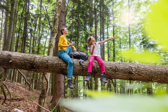 Mother and daughter enjoy a hiking break on a forest log