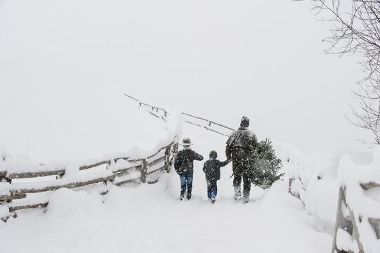 Austria, Altenmarkt-Zauchensee, father with two sons carrying Christmas tree in winter landscape