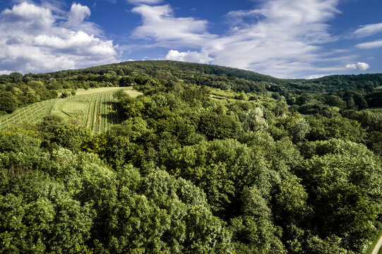 Austria, Lower Austria, Aerial view of green forested hills and vineyards