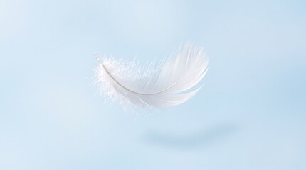 Single white feather floating in air. Soft bird plume drifting on a light blue background. © arman