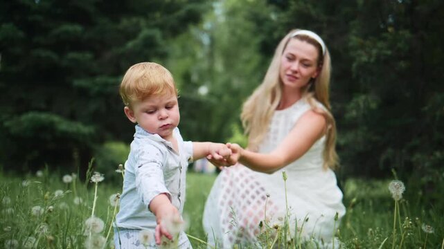 Mother gently guides toddler through dandelion field. Child focuses on grass, unaware of camera. Mother smiles softly, supporting baby's steps. Natural sunlight highlights serene moment