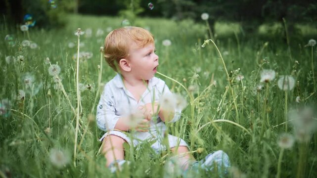 Young child sits in tall grass, surrounded by dandelions. Child gazes thoughtfully, hand near fluffy dandelion seed heads. Soft sunlight filters through greenery, creating calm, natural atmosphere