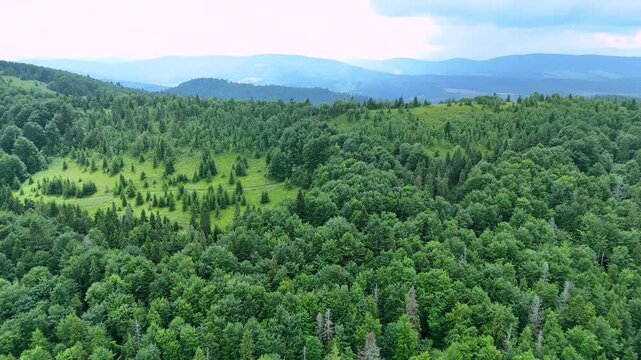 Drone view of the mountain range with picturesque meadows and green spring beech forests of the Carpathians. Skole Beskydy region, Ukraine.