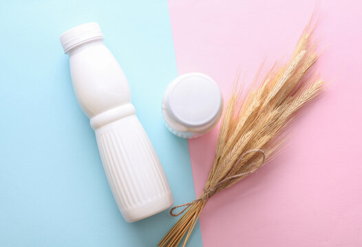 White plastic bottles of cereal yogurt and wheat ears on pink blue background. Healthy eating concept.