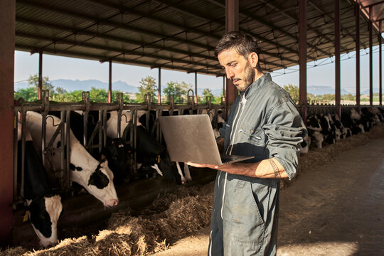 Farmer using laptop near livestock at farm