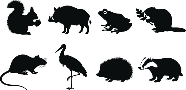 Collection of eight black animal silhouettes on white background squirrel acorn wild boar frog beaver