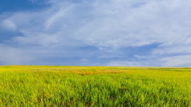beautiful summer green fields landscape time lapse scene