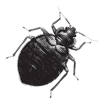 Bed Bug Insect Illustration with Halftone Rasterized Screenprint Effect using Dots and Stippling