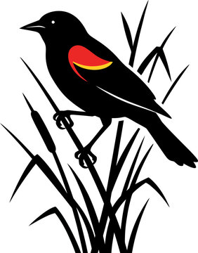 Red-winged blackbird vector illustration, male songbird perched on cattails in a marsh, stylized nature wildlife graphic for outdoors branding