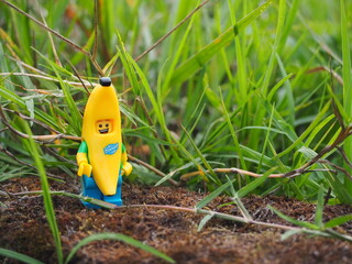 Fototapeta premium Indonesia - February 14, 2023 : Mini toy figure of banana character at outdoor with blurred background. Toy photography concept design.