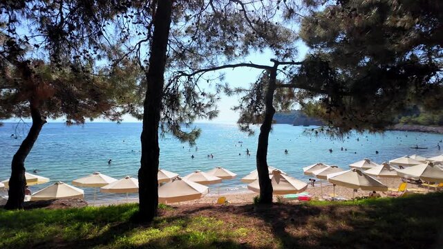 A beach with white umbrellas, seen from a shady, wooded shore overlooking a turquoise Aegean Sea in sunny Greece