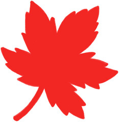 Fototapeta premium red leaf