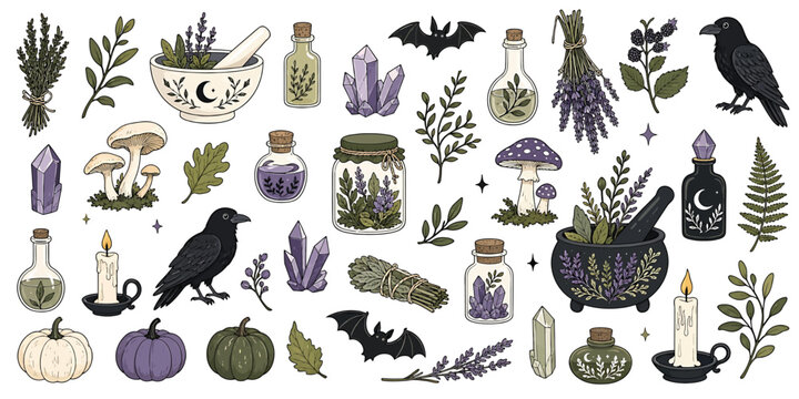 Witchcraft and magic collection with crystals, potions, herbs, mushrooms, ravens, bats, and candles