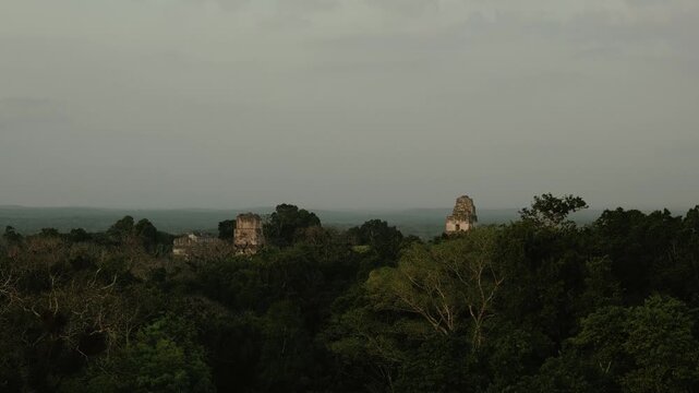 Ancient Tikal Temple IV, towering above dense rainforest in afternoon light. Atmospheric jungle, iconic Mayan architecture, and sweeping panoramic scenery in Tikal National Park.
