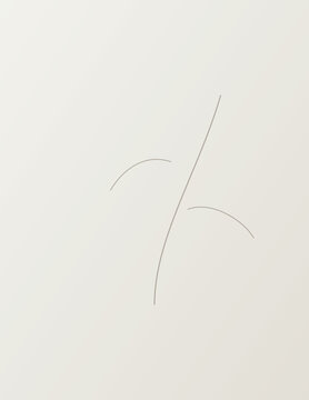 Minimalist botanical shadow background with fine line plant stem on clean light grey textured canvas