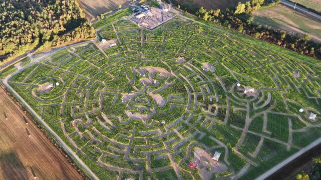 Aerial view of a large green cornfield maze during a sunny autumn afternoon