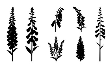 Digitalis Foxglove Silhouettes, Botanical Vector Illustrations, Wildflower Plant Graphics, Garden Flora Elements, Nature Decor Art © Sadia