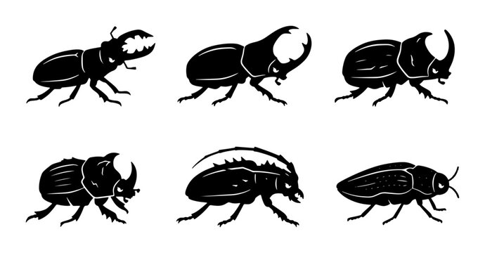 Set of Six Black Silhouette Beetles, Insect Vector Icons, Entomology Collection, Wildlife Graphics