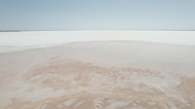 Vast White Salt Deposit Stretching to Horizon at Lake Hart with Saltbush Edge in South Australia, Aerial Drone Shot
